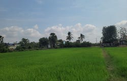 S'ang Phnum, S'ang, Kandal