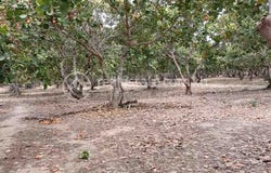 Samraong, Samraong, Oddar Meanchey