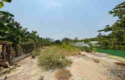 Akreiy Ksatr, Lvea Aem, Kandal