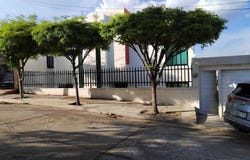 Lomas de Guadalupe, Culiacan, Culiacan, Culiacan