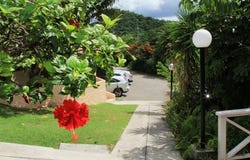 Antigua And Barbuda, Pillar Rock, Antigua