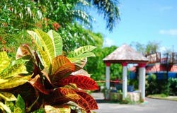 Antigua And Barbuda, Saint John's, Antigua