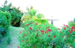Antigua And Barbuda, Paradise View, Antigua