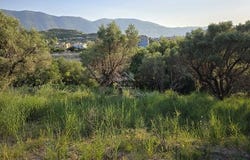 Vlorë, Vlorë