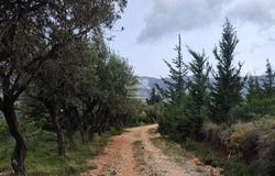 Vlorë, Vlorë