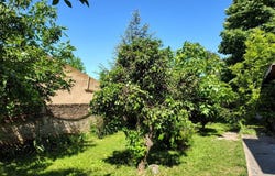 521 2164, El Pato, Berazategui, GBA Sur, B1893, Berazategui, 