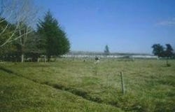 29 -, Ranchos, Buenos Aires