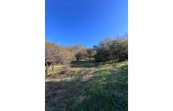 Pan de Azucar s/n, Lomas de Mendiolaza, Mendiolaza, Córdoba,, Córdoba