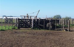 CAMPO EN CHASCOMUS, Chascomús, Buenos Aires