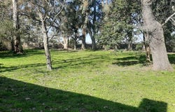 650 S/N, La Plata, GBA Sur,, 