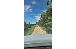 carrizal s/n, El Carrizal, Mendoza, 5509, Mendoza 5509