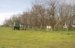 Chascomús -, Chascomús, Chascomús, Buenos Aires (fuera de GBA),, Chascomus, 
