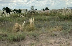 Km 427 Ruta Provincial 11 s/n, Villa Gesell, Buenos Aires Costa Atlántica, B7165, B7165