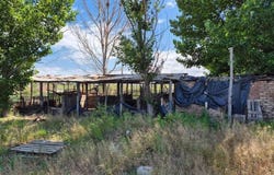 carrizal s/n, El Carrizal, Mendoza, 5509, Mendoza 5509