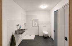 Helpfau-Uttendorf, Upper Austria 5261