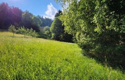 Passail, Styria 8162