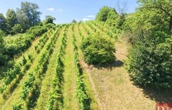 Klosterneuburg, Lower Austria 3400