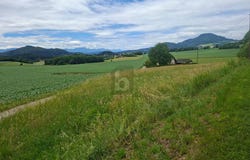 Maria Saal, Carinthia 9063