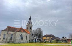 Eggendorf im Traunkreis, Upper Austria 4622