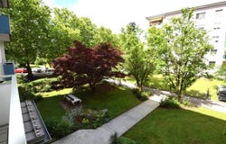 Linz, Upper Austria 4040