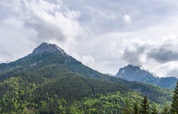 Sankt Ulrich am Pillersee, Tyrol 6393