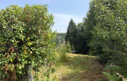 Vasoldsberg, Styria 8076