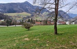 Losenstein, Upper Austria 4460