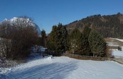 Aigen im Ennstal, Styria 8943