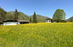 Sankt Ulrich am Pillersee, Tyrol 6393