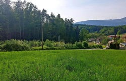 Graz, Styria 8044