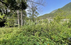 Waldegg, Lower Austria 2754