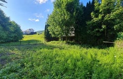 Losenstein, Upper Austria 4460