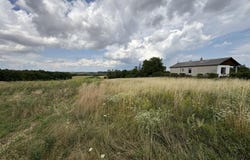 Ringelsdorf Niederabsdorf, Lower Austria 2272