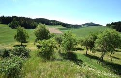 Waldburg, Upper Austria 4240