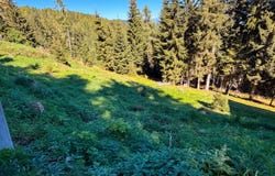 Hochrindl, Hochrindl, Carinthia
