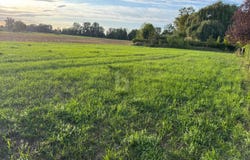 Marchtrenk, Upper Austria 4614