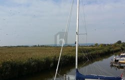 Neusiedl am See, Burgenland 7100