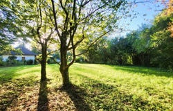 Gaaden, Lower Austria 2531