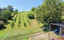 Klosterneuburg, Lower Austria 3400
