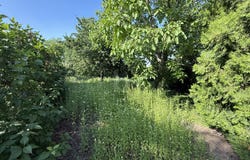 Mörbisch am See, Burgenland 7072