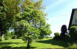 Wels, Upper Austria 4600