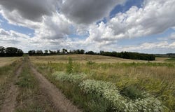 Ringelsdorf Niederabsdorf, Lower Austria 2272