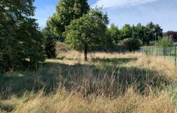 Bad Sauerbrunn, Burgenland 7202