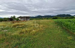 Grafenstein, Carinthia 9131