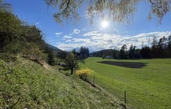 Aldrans, Tyrol 6071