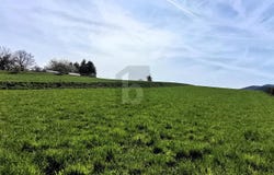 Pernitz, Lower Austria 2763