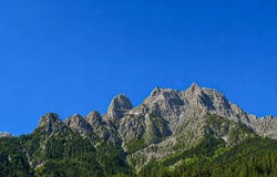 Waidring, Tyrol 6384