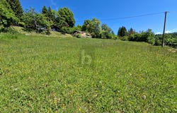Ludmannsdorf, Carinthia 9072