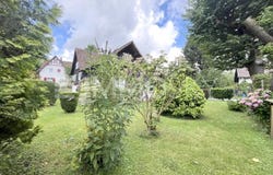 Lustenau, Vorarlberg 6890