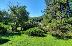 Purkersdorf, Lower Austria 3002